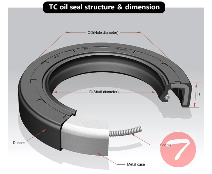 oil seal tc drawing dimension
